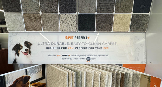 Pet Perfect by Shaw: The Best Flooring for Dog & Cat Owners in Denver, Colorado